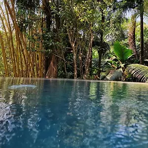 a-peace-in-paradise.maheislandhotels.com/
